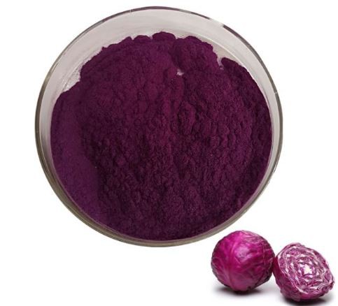 Cabbage Powder Cabbage Powder