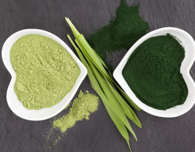 Chlorella vs Spirulina powder