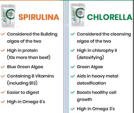 Chlorella vs Spirulina