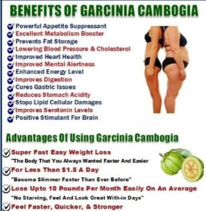 Garcinia Cambogia Benefits