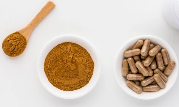 Ekstrak Daun Mulberry Putih