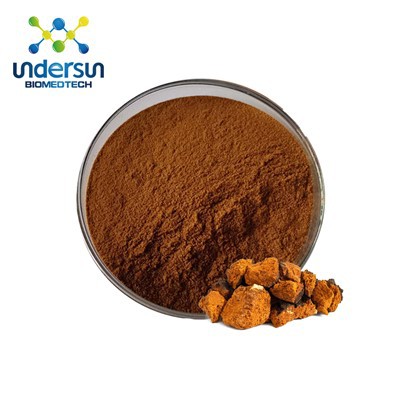 Bubuk Jamur Chaga Organik