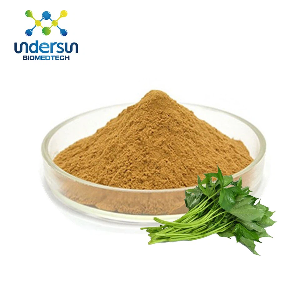 Ekstrak Daun Ubi Jalar