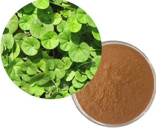 Ekstrak Daun Centella Asiatica