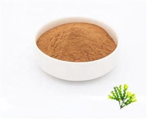 Ekstrak Bladderwrack