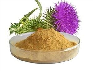 Silymarin Ekstrak Bubuk