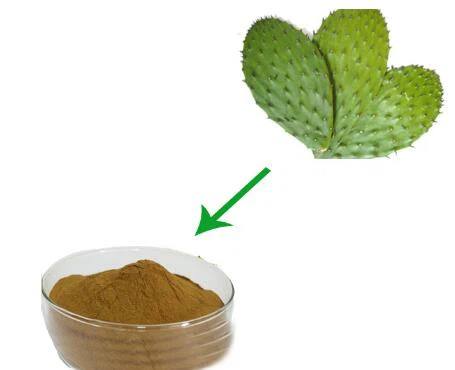 Bubuk Kaktus