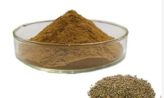 Ekstrak Biji Cassia Angustifolia