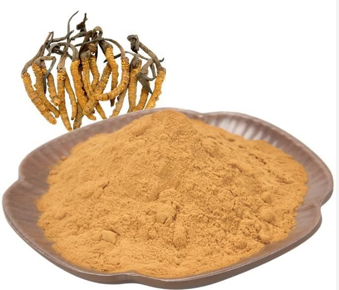 Bubuk Cordyceps