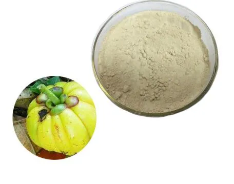 Bagaimana cara menggunakan garcinia cambogia dan cuka sari apel?