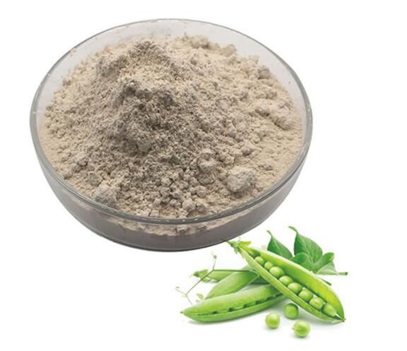 Protein Kacang Polong Organik