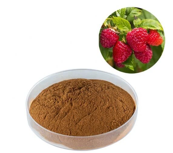 Raspberry Keton Ekstrak