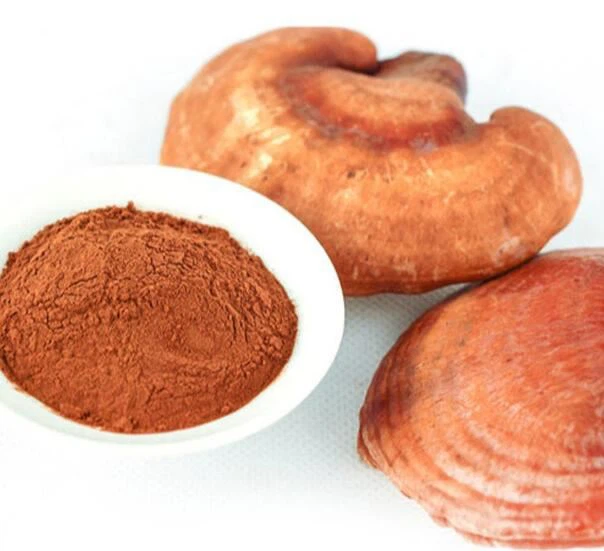 Reishi Ekstrak Bubuk