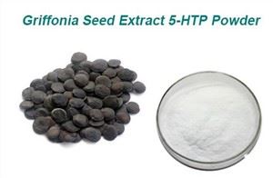 Ekstrak Biji Griffonia 5-HTP