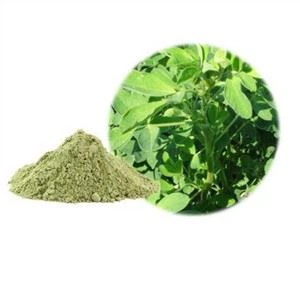 Bubuk Alfalfa