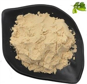 Bubuk Protein Kacang Massal