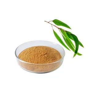 Bubuk Kayu Putih