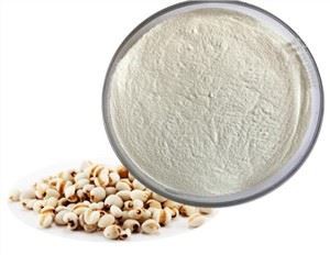 Bekukan Bubuk Biji Coix Kering