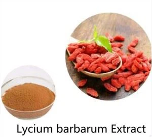 Ekstrak Buah Lycium Barbarum