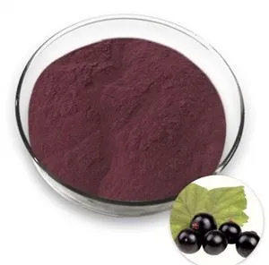 Bubuk Maqui Berry