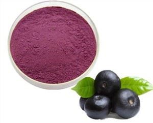 Bubuk Acai Berry Organik