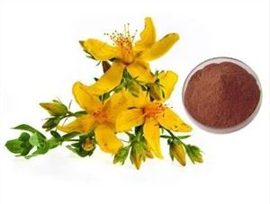 St John's Wort Powder
