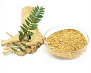 Ekstrak Tongkat Ali 1: 200