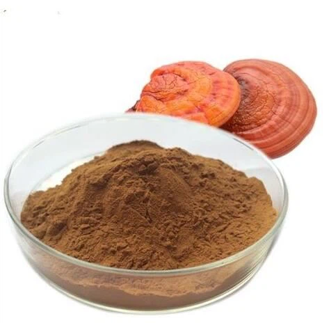 Bubuk Reishi Organik