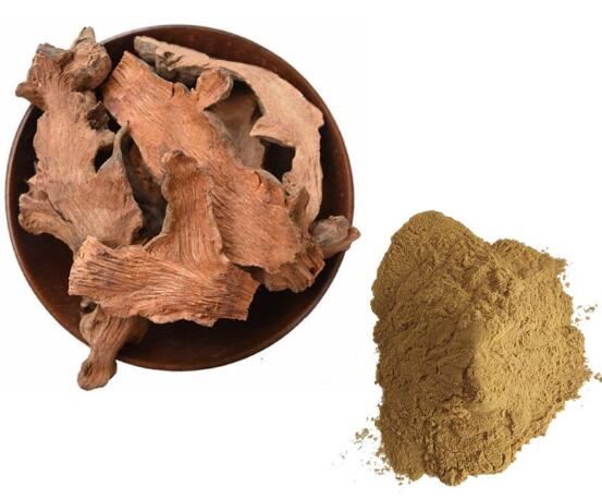 Bubuk Sarsaparilla Organik