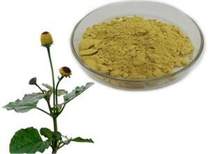 Ekstrak Acmella Oleracea