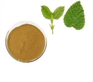 Ekstrak Daun Melissa Officinalis