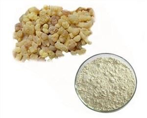 Ekstrak Boswellia Serrata Organik