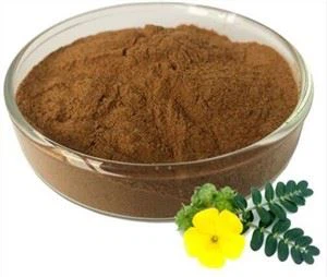 Ekstrak Tribulus Terrestris Grosir