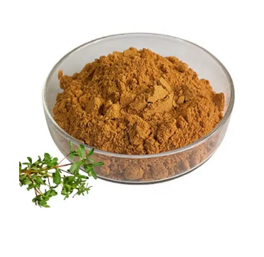 Ekstrak Brahmi Bacopa Monnieri